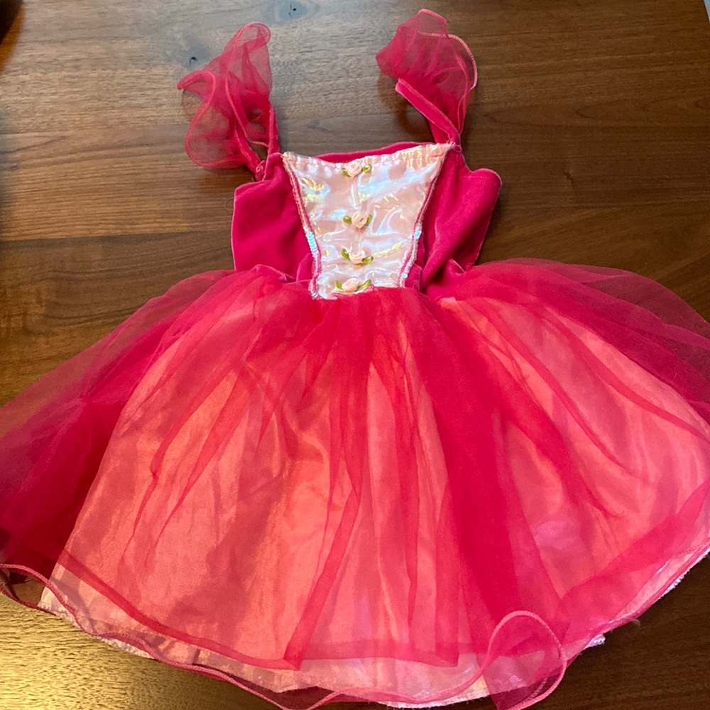 Sweet princess dress for toddler